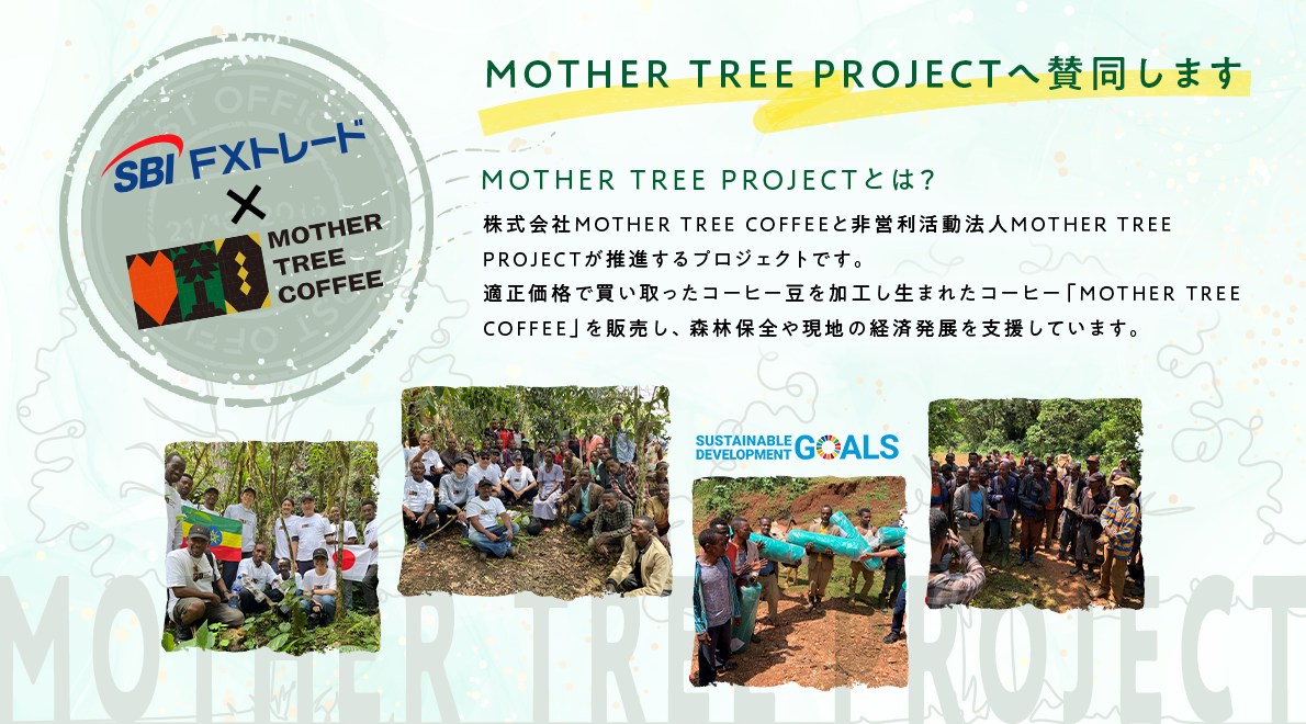 「MOTHER TREE PROJECT」への賛同を通じた取り組み